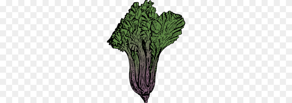 Leaf Vegetable Kale Cabbage Spinach, Green, Food, Produce, Leafy Green Vegetable Png Image