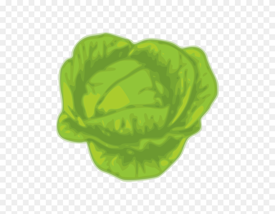 Leaf Vegetable Wikimedia Commons Cabbage Food, Produce, Leafy Green Vegetable, Plant Free Png Download