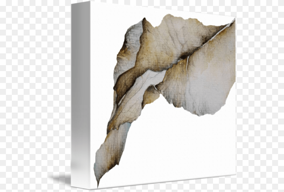 Leaf Watercolor, Plant, Rock, Animal, Bird Png Image