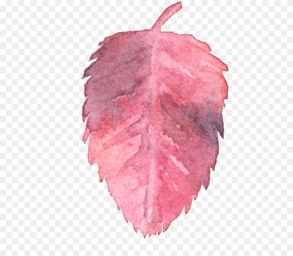Leaf Watercolor Plant, Person, Tree, Face Free Transparent Png