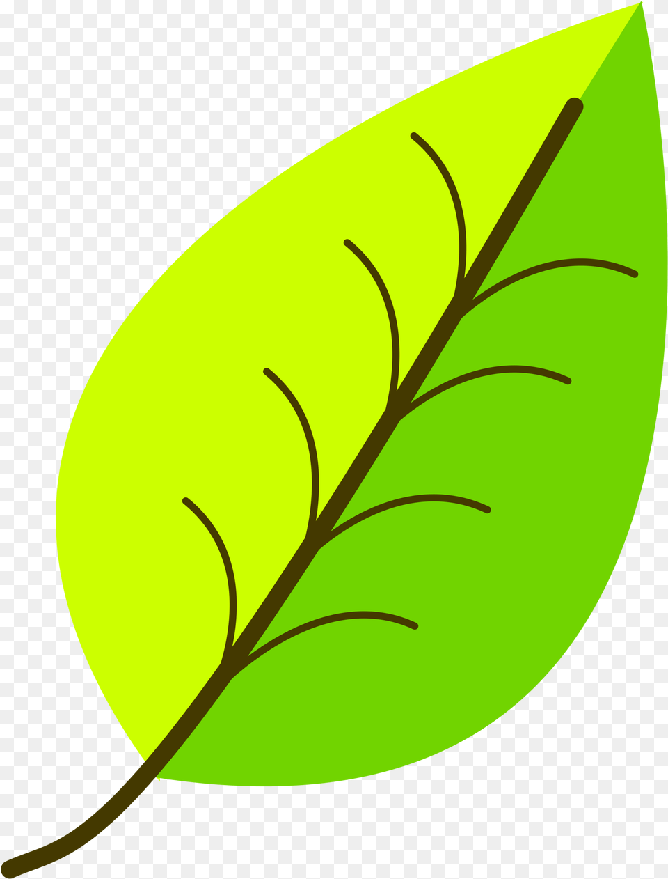 Leaf With Venation Two Color, Plant, Annonaceae, Tree Free Png Download