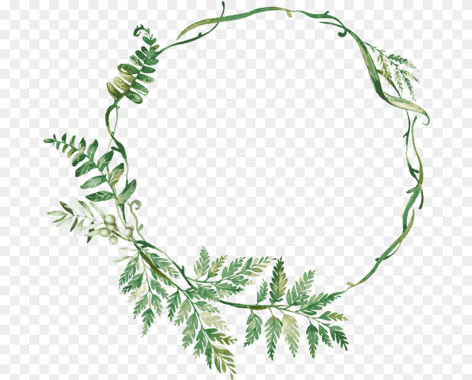 Leaf Wreath, Plant, Accessories, Bracelet, Jewelry Free Png