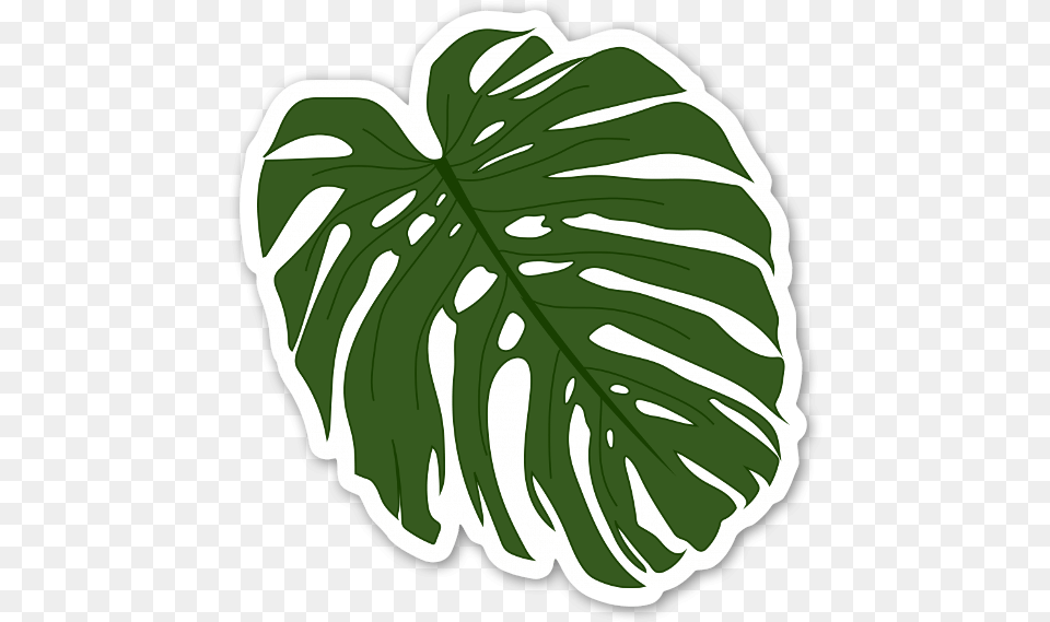Leafgreenmonstera Deliciosaplantline Artblack Palm Leaf Leaf Sticker, Plant, Ammunition, Weapon, Grenade Png