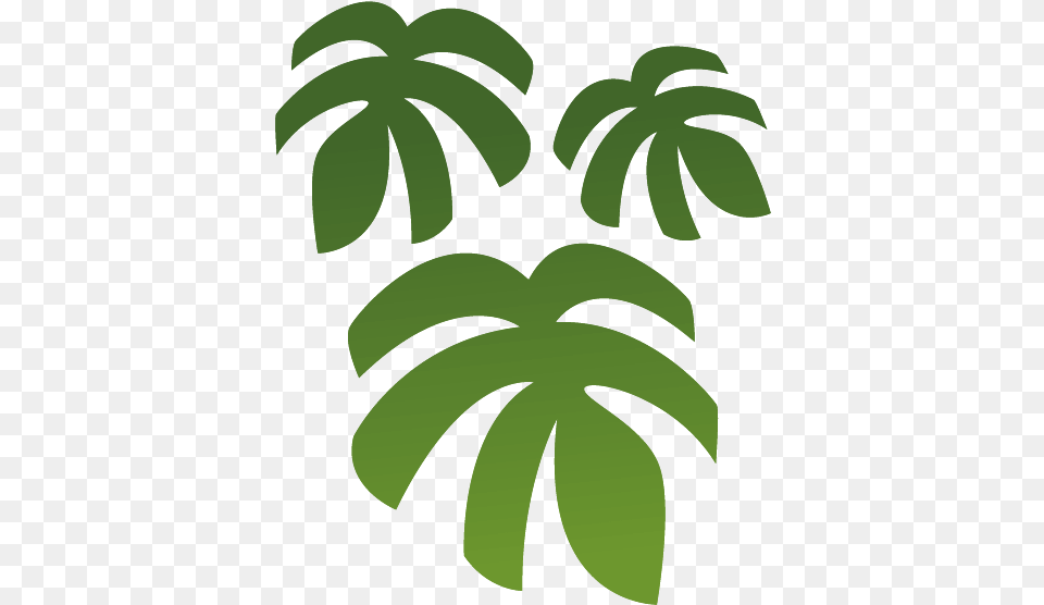 Leafgreenplantpalm Artgraphics Palm Tree Clipart Sticker, Green, Leaf, Plant, Vegetation Png