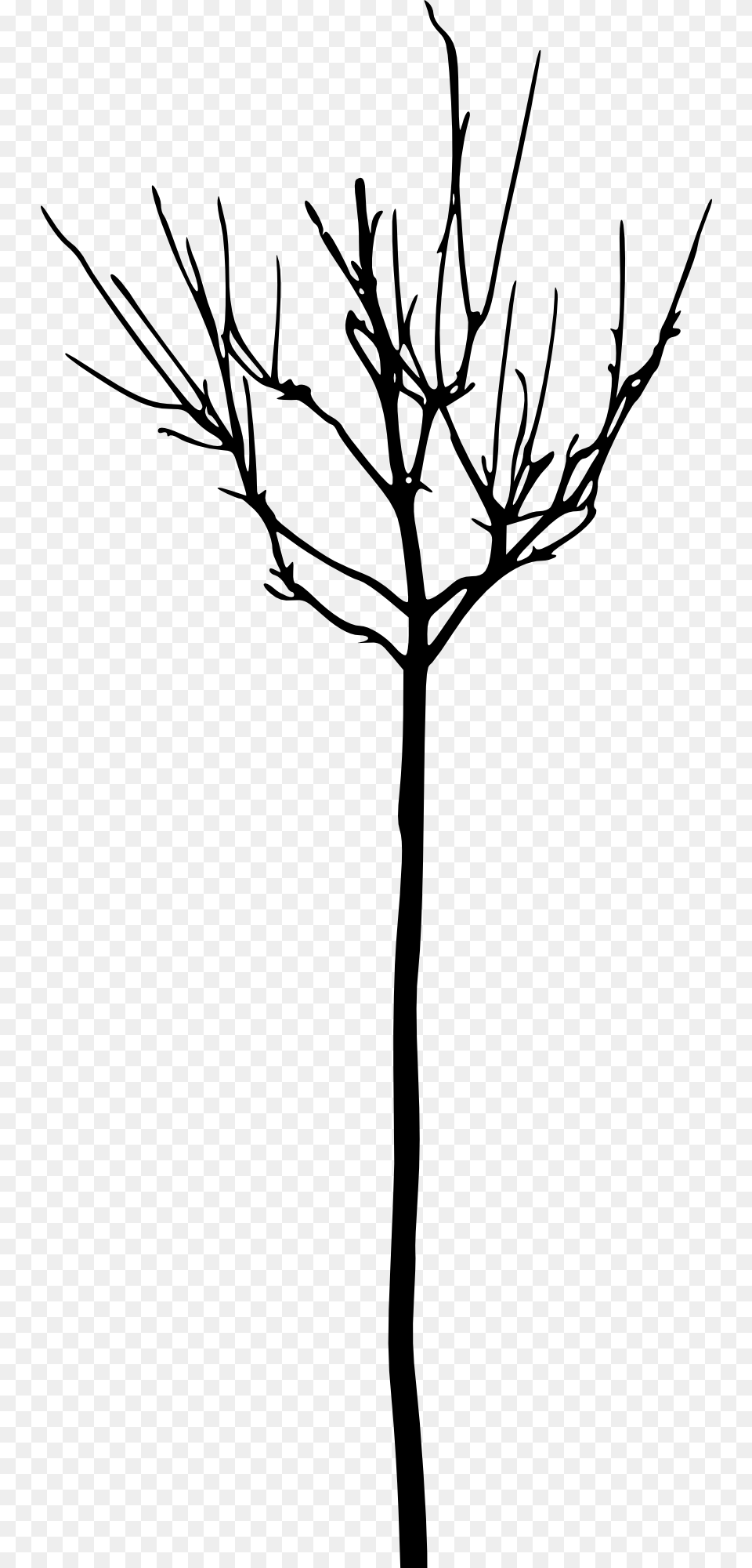 Leafless Tree Branch Transparent, Art, Plant, Silhouette, Drawing Free Png
