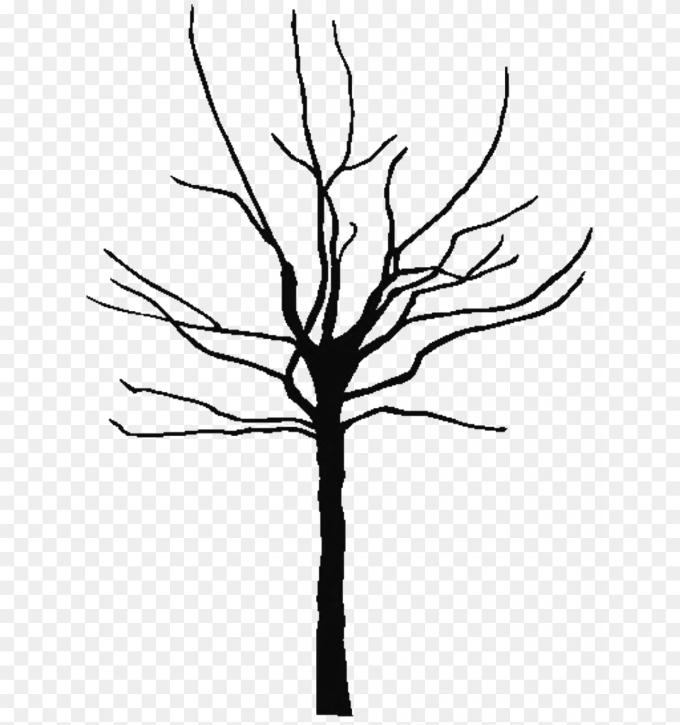Leafless Tree Coloring, Art, Drawing, Plant, Stencil Png Image