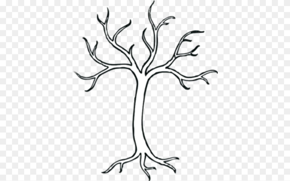 Leafless Tree Drawings Black And White Tree Branches Clipart, Stencil Free Png