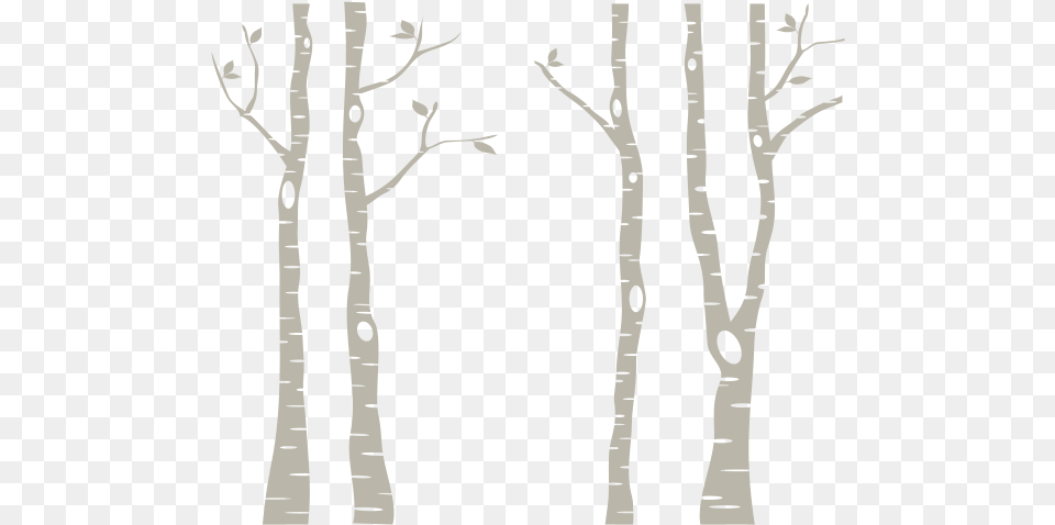 Leafless Tree Transparent Birch Tree Clipart, Plant, Adult, Female, Person Png