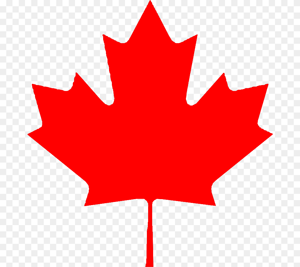 Leafmaple Leaftreeredwoody Plantplantplaneblack Canada Flag, Leaf, Maple Leaf, Plant, Tree Free Png Download