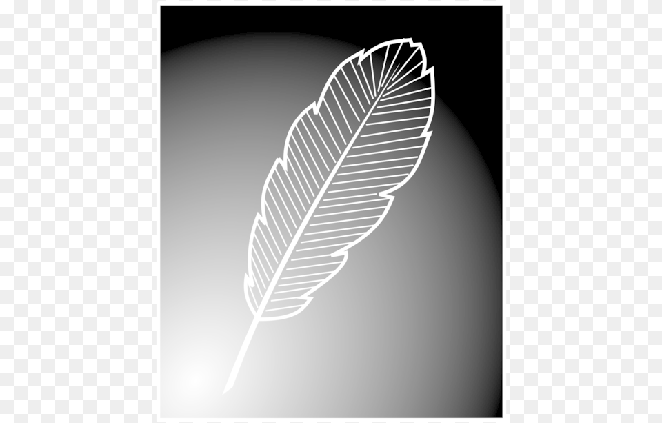 Leafmonochrome Photographymonochrome Floating Feather Free, Leaf, Plant, Art, Silhouette Png