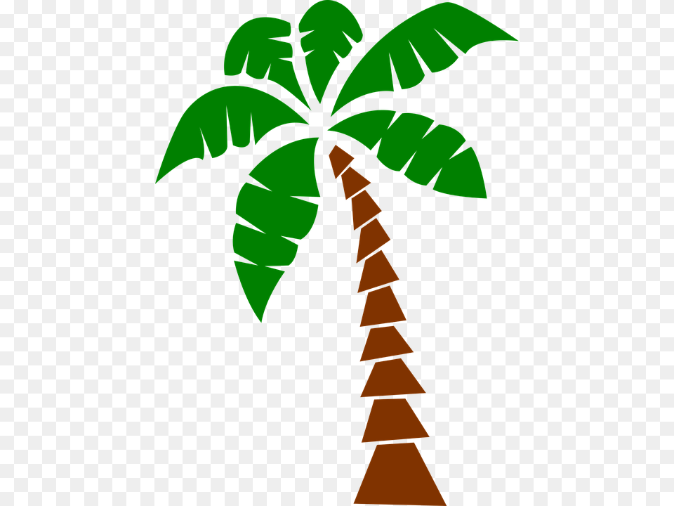 Leafplanttreepalm Treeplant Stemclip Plant Good Morning Suger, Vegetation, Tree, Rainforest, Palm Tree Png Image