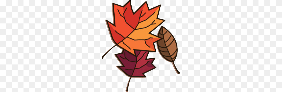 Leafs Clipart, Leaf, Plant, Tree, Maple Leaf Png Image
