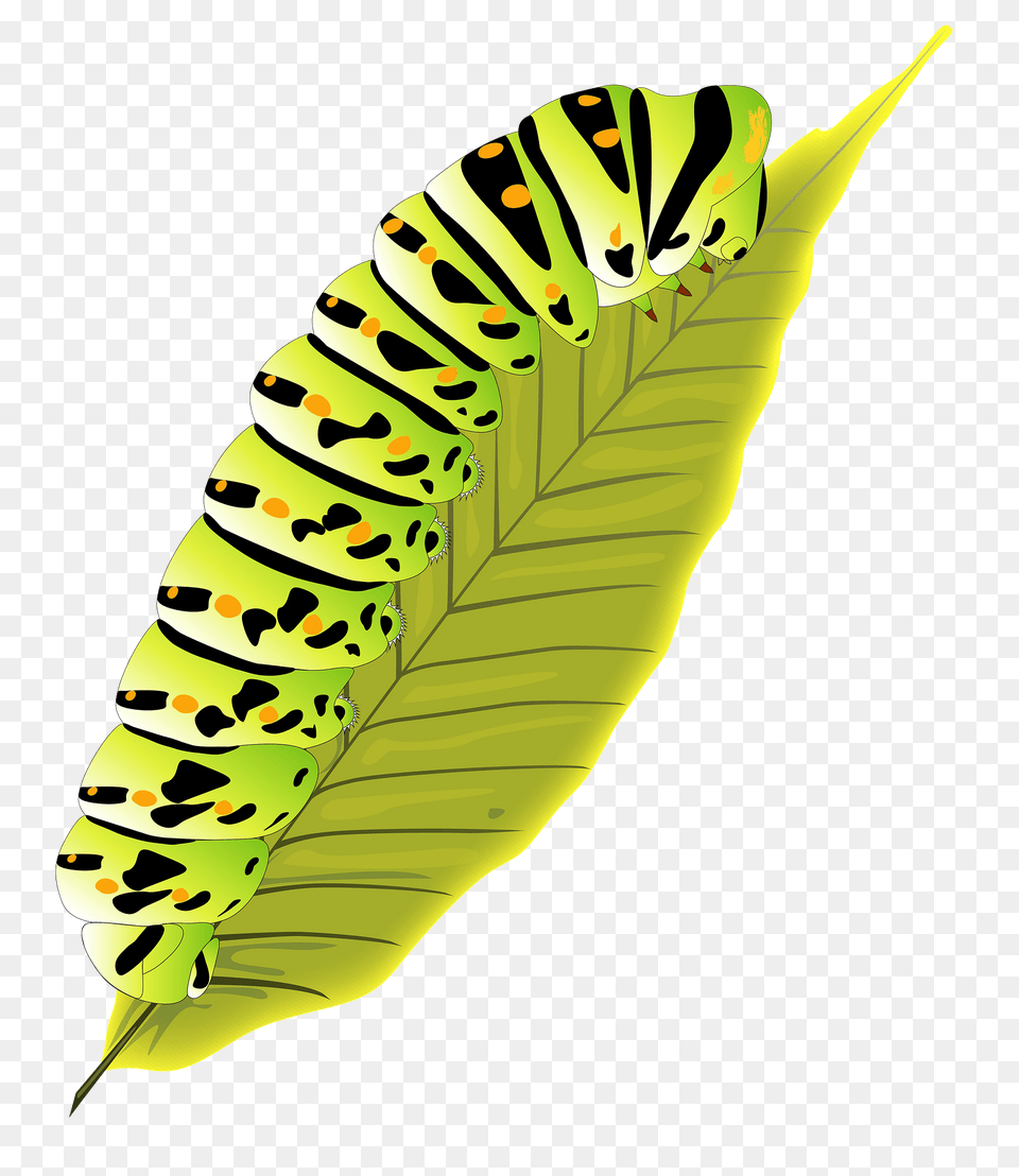 Leafworm Clipart, Leaf, Plant, Animal, Reptile Png