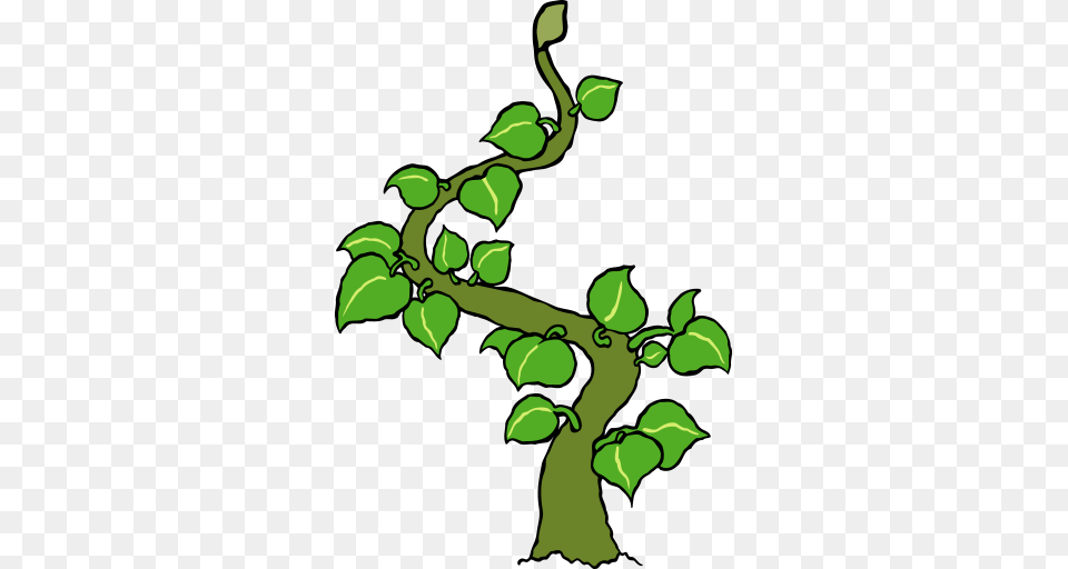 Leafy Beanstalk, Green, Leaf, Plant, Vine Free Png Download