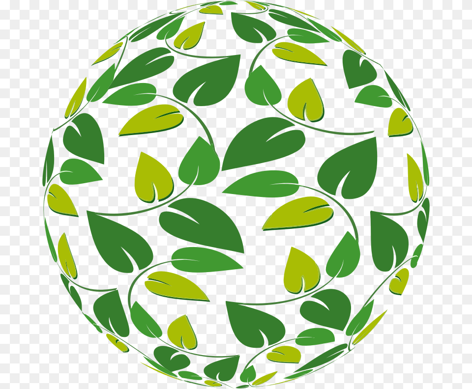 Leafy Sphere Leaf Aesthetic Clipart, Green, Egg, Food Free Png