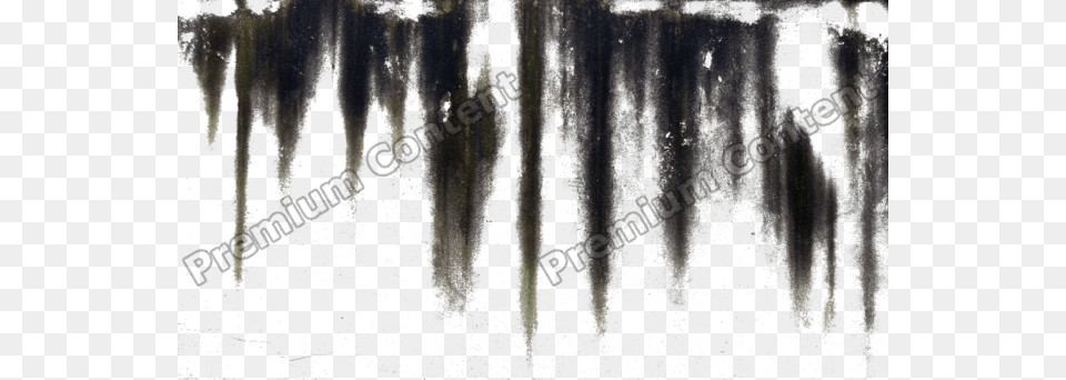 Leaking Decals Texture Mapping, Ice, Plant, Tree, Nature Png Image