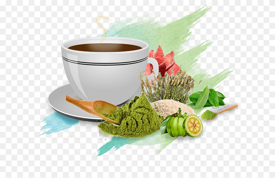 Lean N Green Lean N Green Slimming Coffee, Cutlery, Herbal, Herbs, Plant Png Image