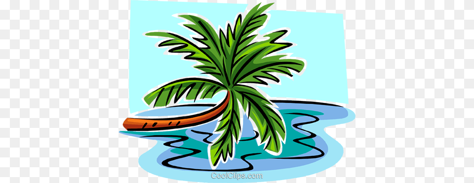 Leaning Palm Tree Royalty Vector Clip Art Illustration, Palm Tree, Plant, Summer, Vegetation Free Transparent Png