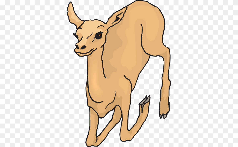 Leaping Deer Clip Art, Animal, Mammal, Wildlife, Baby Free Transparent Png