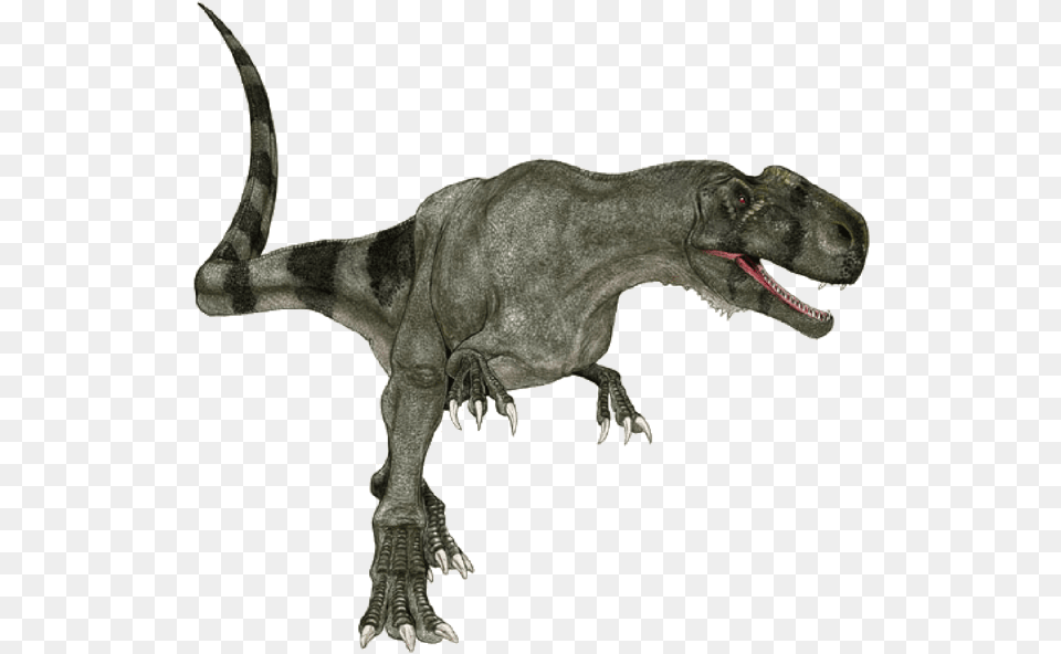 Learn Dinosaurs On The Mac App Store Velociraptor, Animal, Dinosaur, Reptile, T-rex Free Png