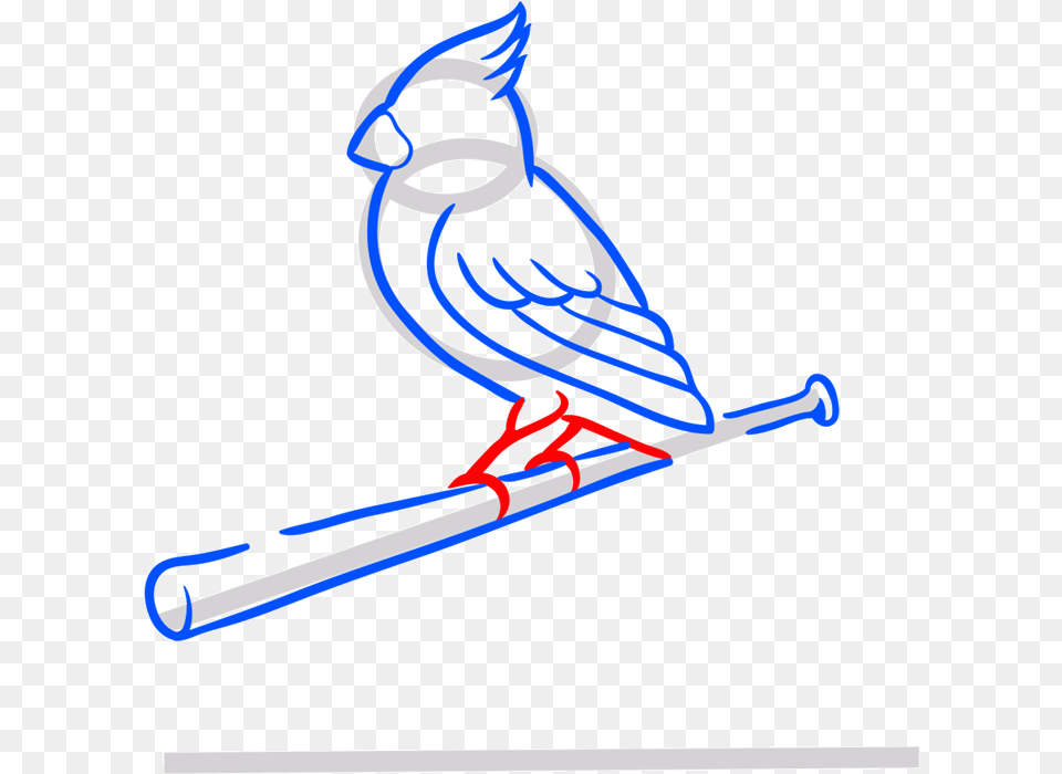 Learn Easy To Draw St St Louis Cardinals Logo, Animal, Bird, Jay, Blue Jay Free Transparent Png