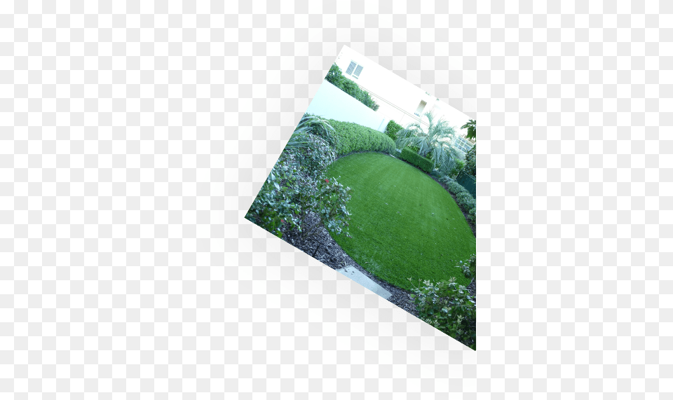 Learn How Lawn, Backyard, Plant, Outdoors, Nature Png Image