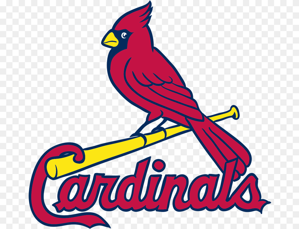 Learn How To Draw St Louis Cardinals Logo Easy To Draw Vector St Louis Cardinals Logo, Animal, Bird, Cardinal Free Png