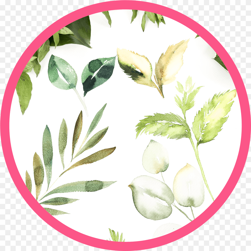 Learn How To Quickly Create Breathtaking Watercolor Hungry Hearts Soccer School, Herbs, Plant, Herbal, Leaf Free Png