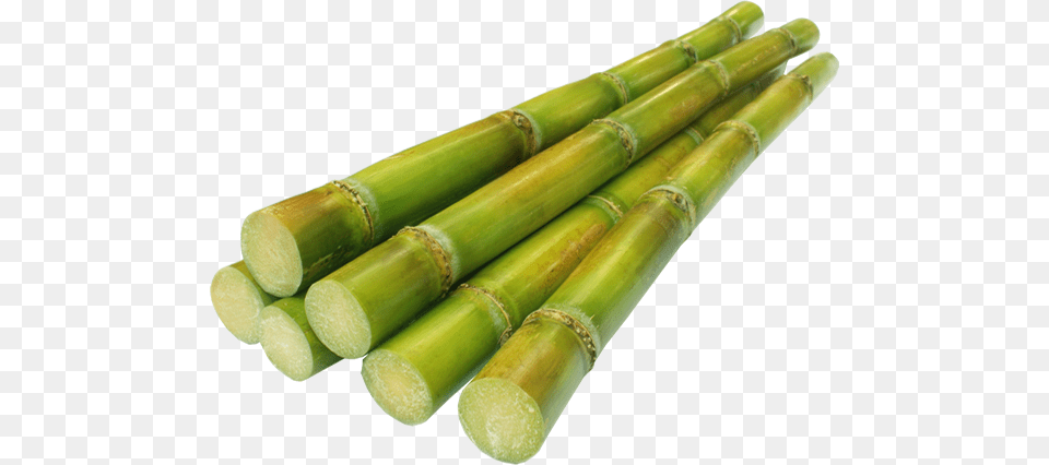 Learn More About Msugar Major Crops Of Pakistan, Dynamite, Weapon, Stick, Bamboo Free Transparent Png