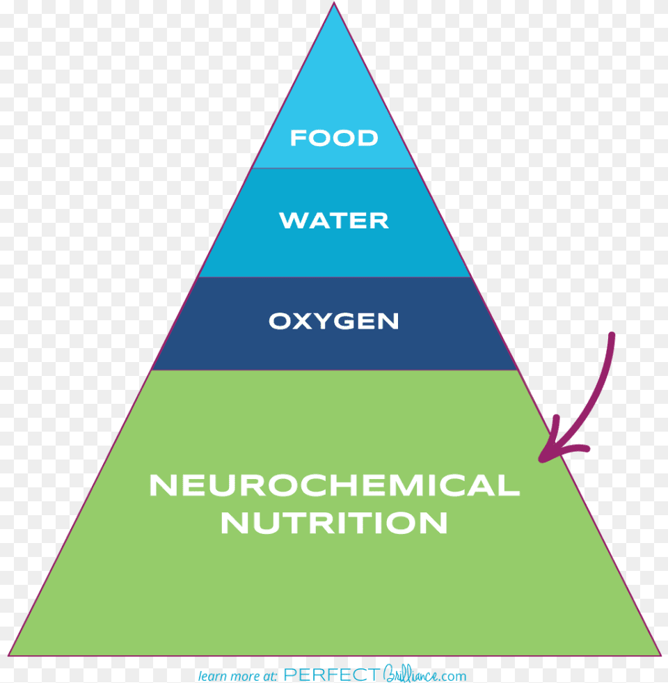 Learn More About Neurochemical Nutrition At Perfectbrilliance Triangle Png