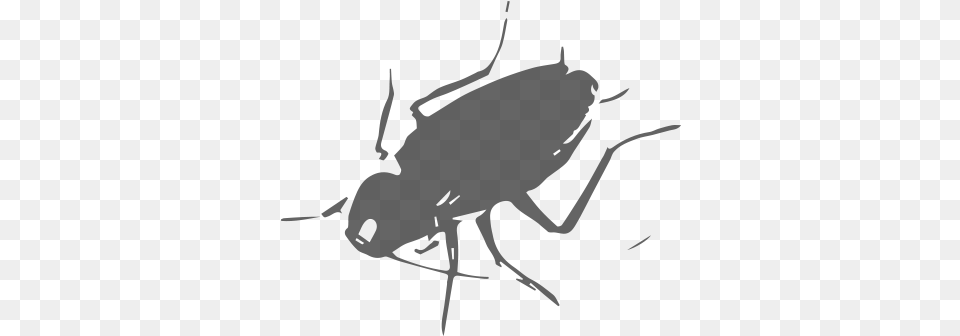 Learn More Cockroach Vector, Animal, Insect, Invertebrate Png