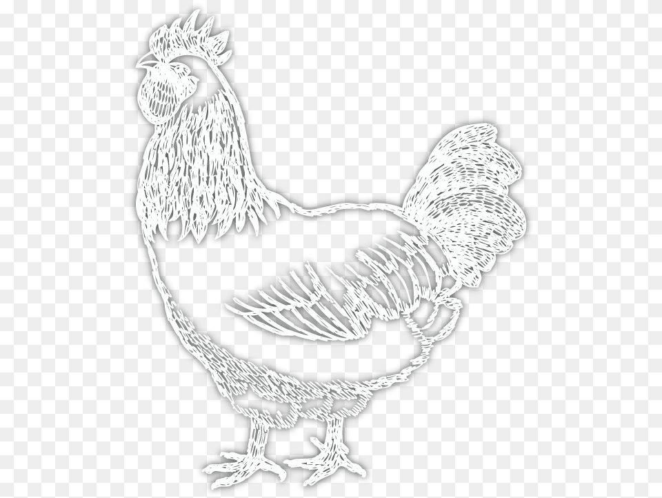 Learn More Rooster, Animal, Bird, Chicken, Fowl Free Png