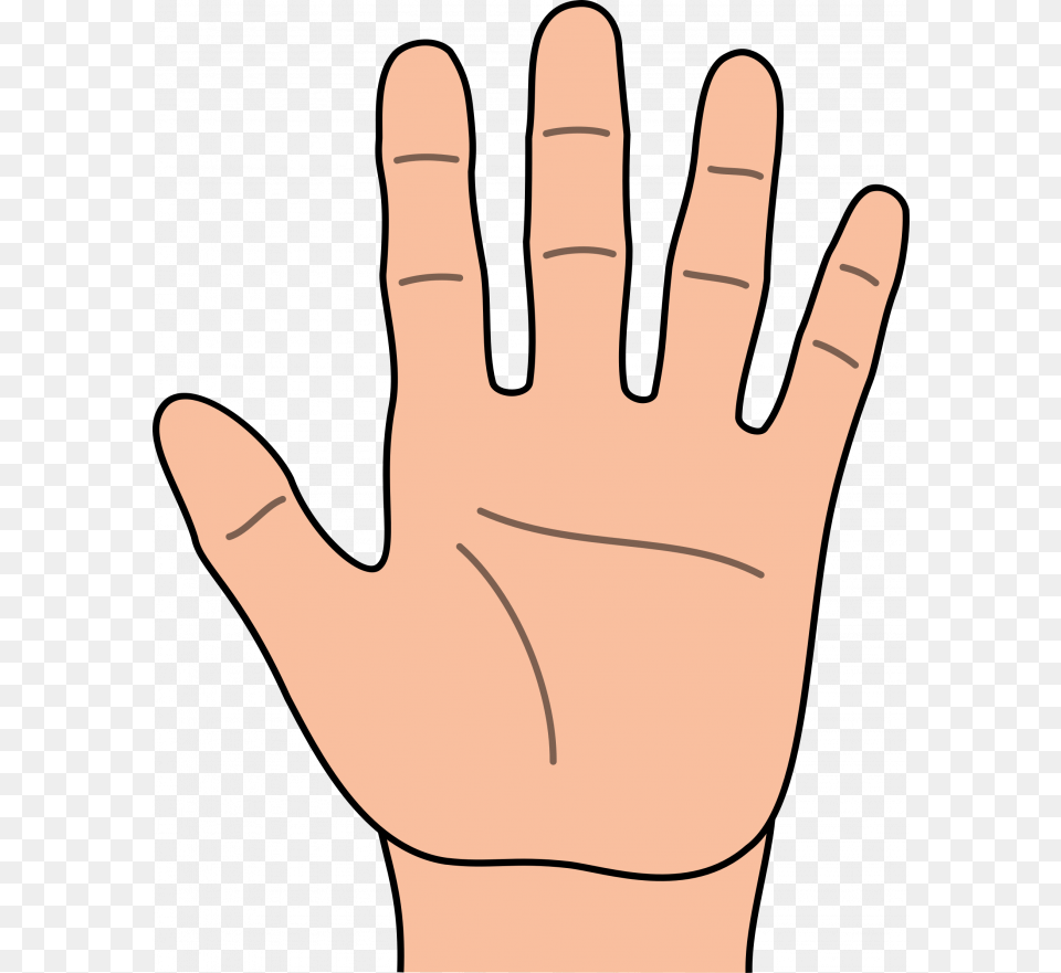 Learn What The Shape Of Your Hand Says About Your Personality, Body Part, Clothing, Finger, Glove Free Png