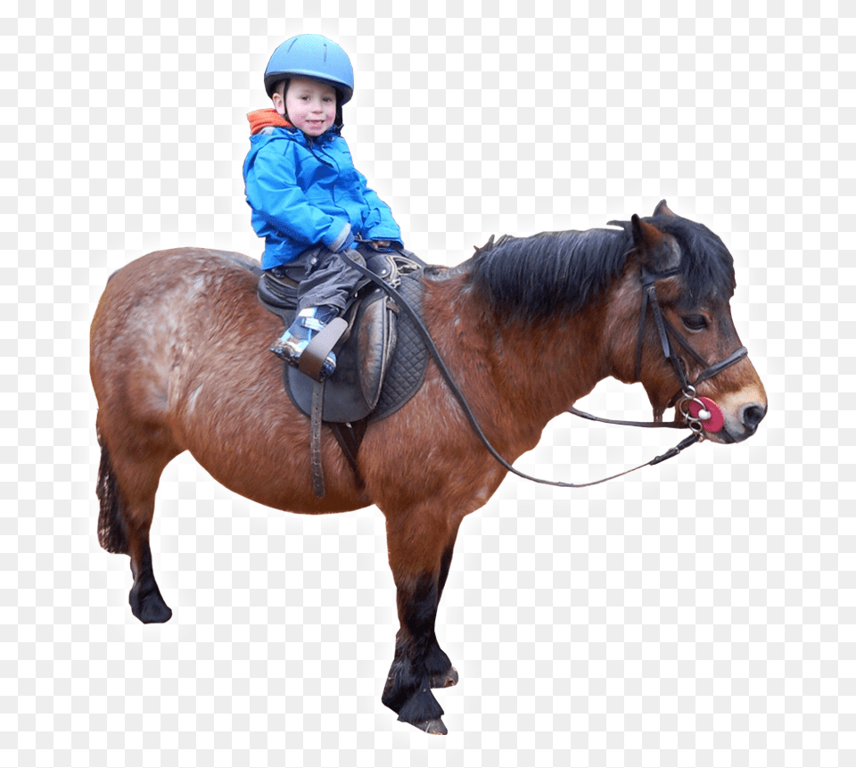 Learning With Horses Boy Riding Horse, Clothing, Coat, Person, Child Free Transparent Png