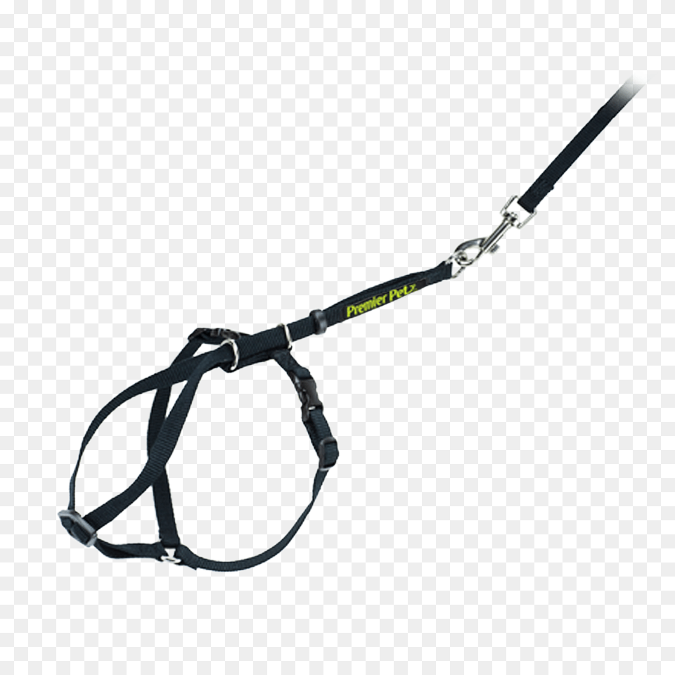 Leash, Bow, Weapon, Accessories, Glasses Free Png Download
