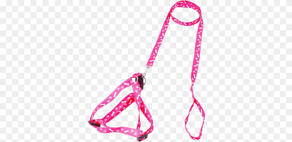 Leash, Bow, Weapon Free Transparent Png