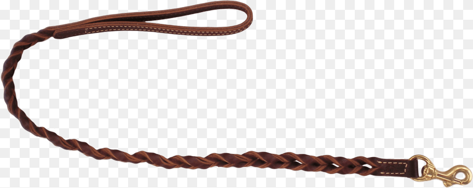 Leash, Accessories Png Image