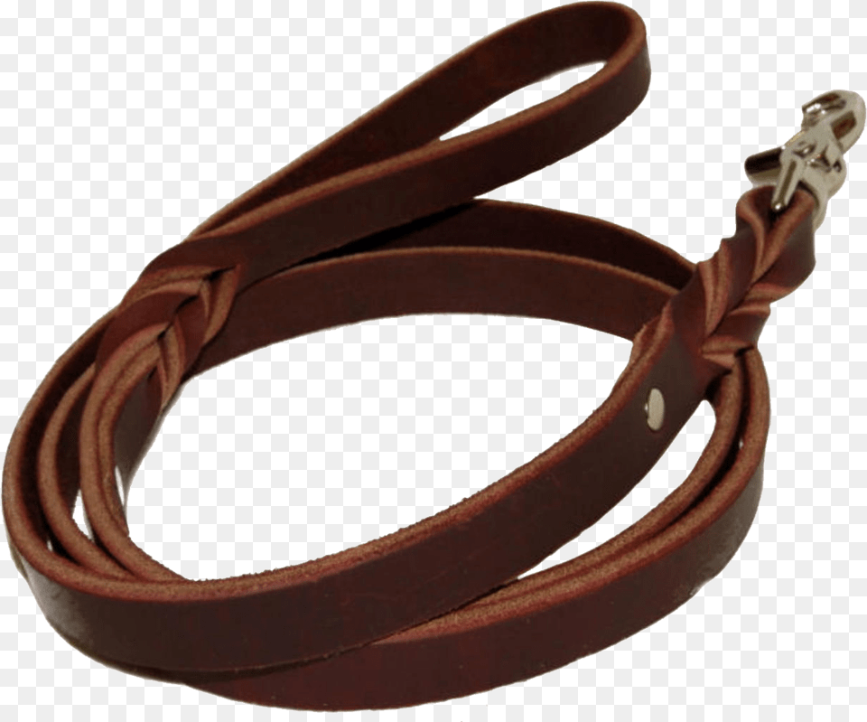 Leash, Accessories, Strap, Animal, Reptile Free Png Download