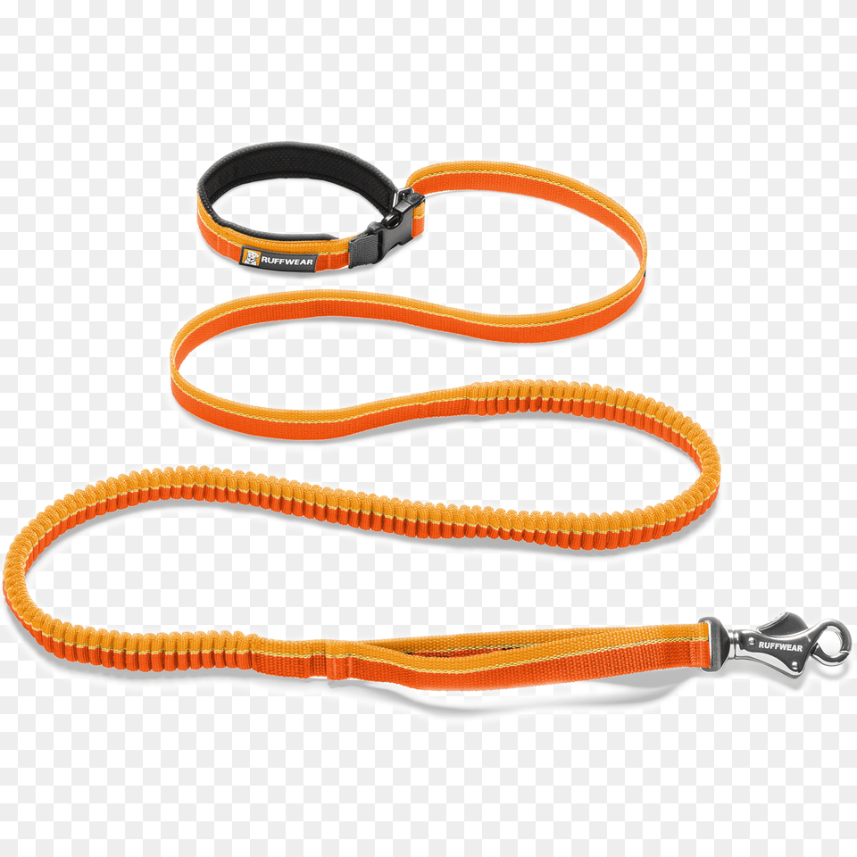 Leash, Smoke Pipe, Animal, Reptile, Snake Free Png Download