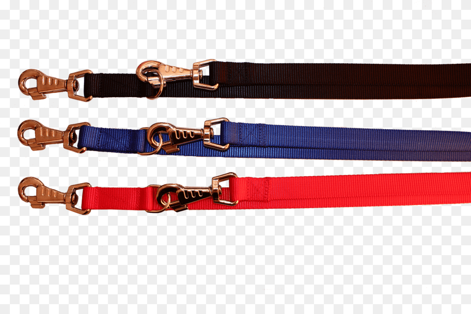 Leash, Accessories, Belt, Strap Free Png