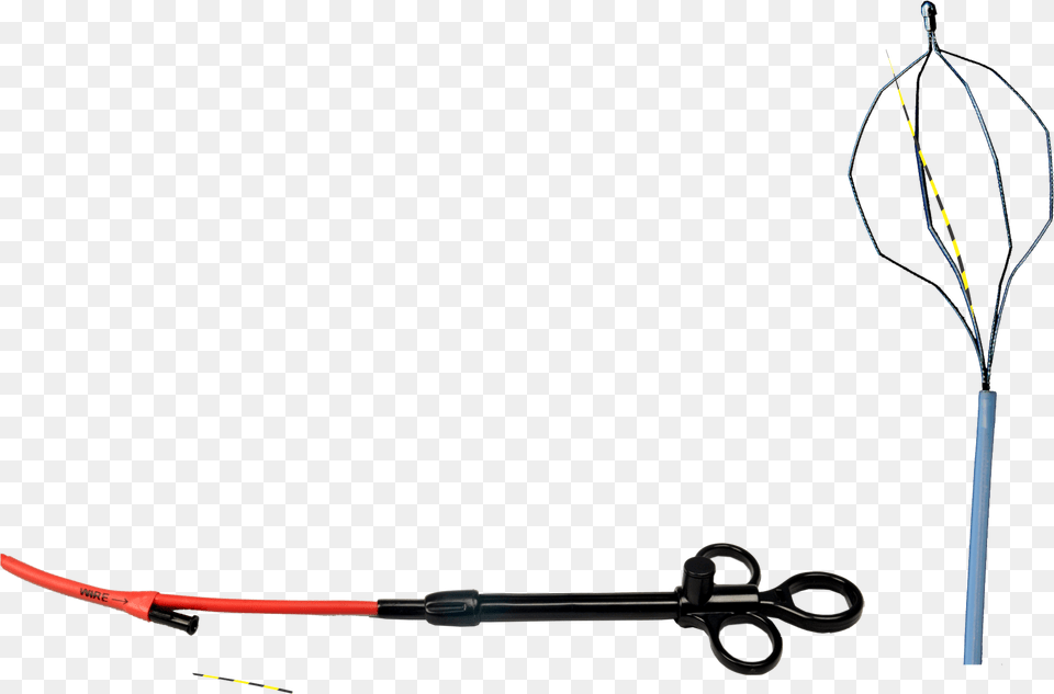 Leash Free Png