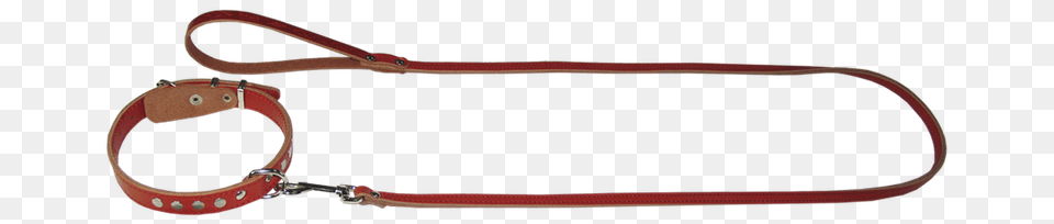 Leash, Accessories, Bag, Handbag, Strap Free Png