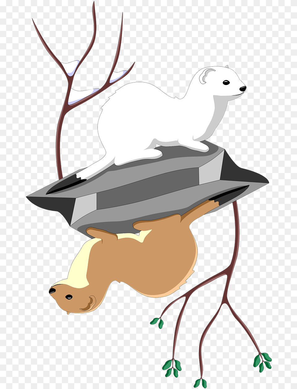 Least Ermine Stock Stoat, Animal, Deer, Mammal, Wildlife Png