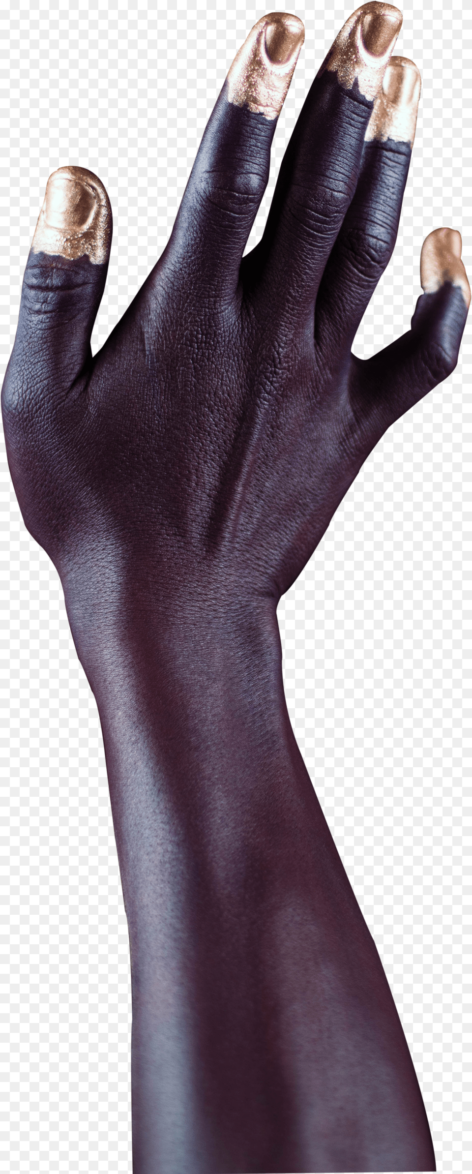Leather Free Transparent Png