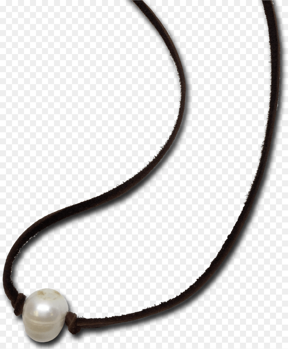 Leather Necklace Choker Simple Pearl Necklace, Accessories, Jewelry Free Png Download