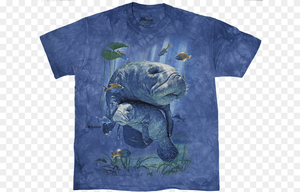 Leatherback Sea Turtle, Clothing, T-shirt, Animal, Fish Free Png