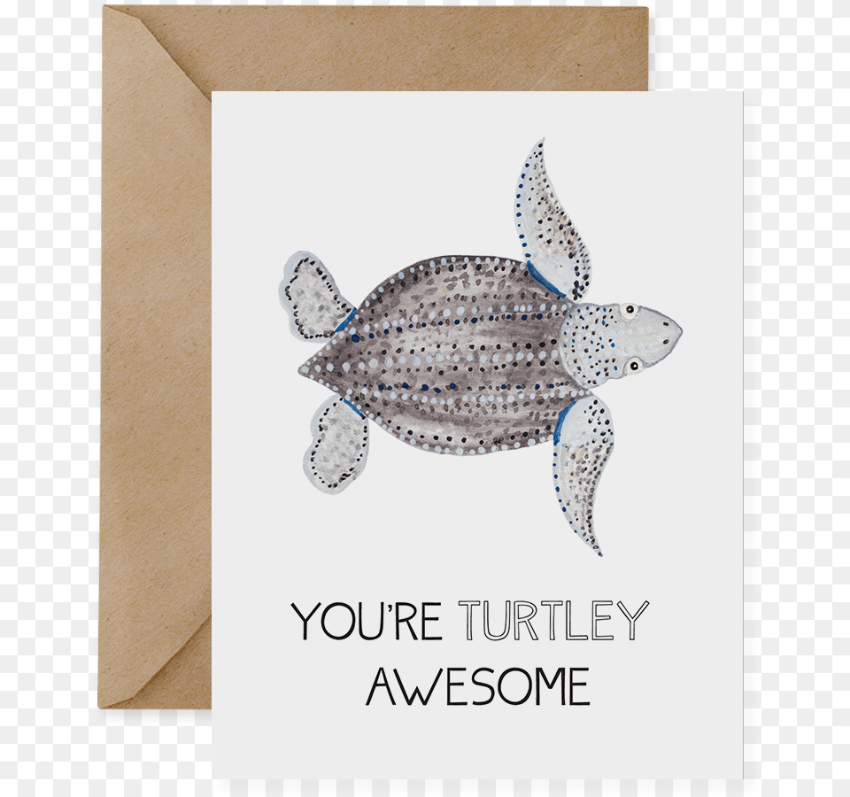 Leatherback Sea Turtle You Re Turtley Awesome, Animal, Fish, Sea Life, Reptile Png