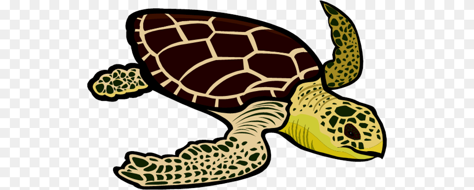 Leatherback Turtle Clipart Sea Turtles Green Sea Turtle Clipart, Animal, Reptile, Sea Life, Sea Turtle Free Transparent Png