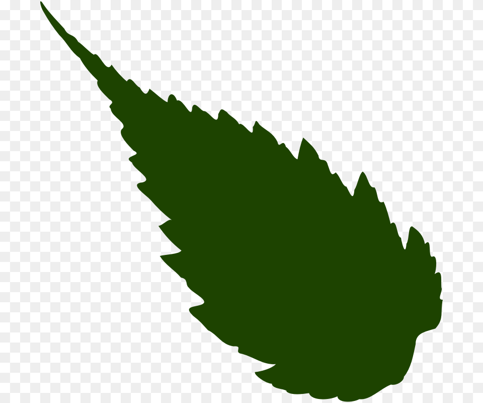 Leave Clip Art, Leaf, Plant, Person Free Png Download