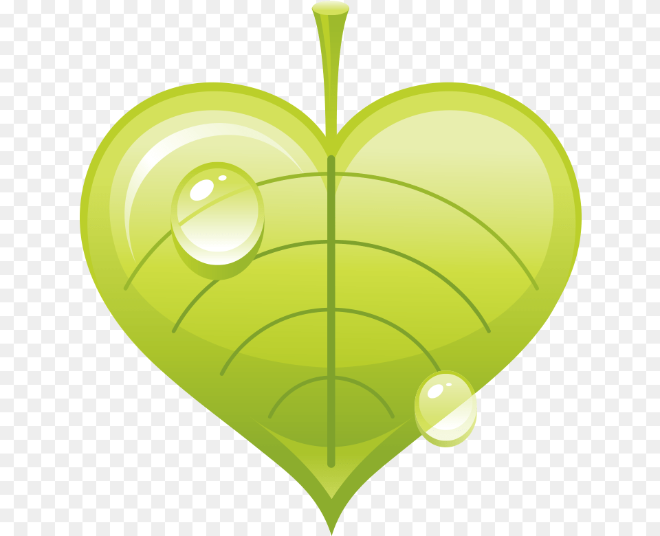 Leave Clip Art Graphic Design, Leaf, Plant, Droplet, Green Free Png